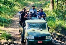 जङ्गल सफारी