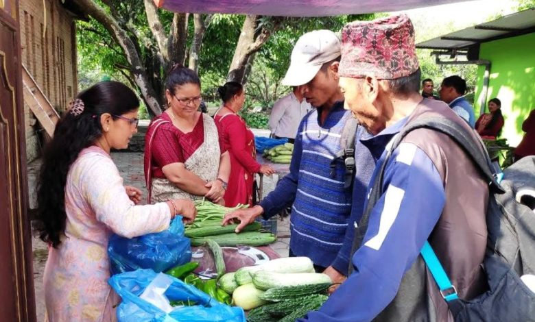 पाँचखालमा साप्ताहिक कृषि हाटबजार सुरु