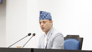 dp aryal